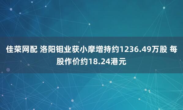 佳荣网配 洛阳钼业获小摩增持约1236.49万股 每股作价约18.24港元
