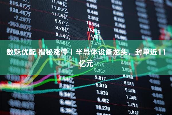 数魅优配 揭秘涨停丨半导体设备龙头，封单近11亿元