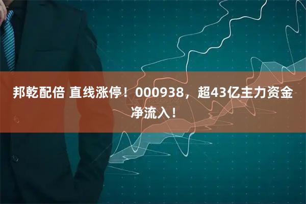 邦乾配倍 直线涨停！000938，超43亿主力资金净流入！
